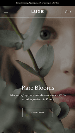 luxe Shopify theme